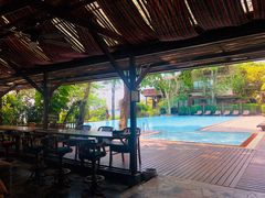 -卷心菜和避孕套餐厅(Pattaya)