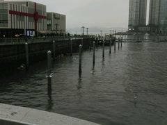-海云台海滩