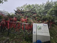 -沂蒙山旅游区云蒙景区(蒙山国家森林公园)