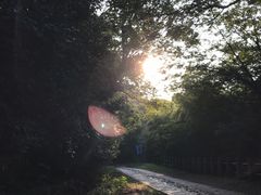 -上海佘山国家森林公园西佘山园