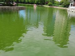 -团结湖公园