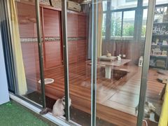 -楼上猫咖(罗湖店)