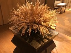 -台北北投丽禧温泉酒店