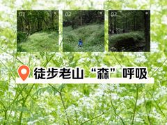 -南京老山国家森林公园