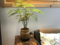 -八哥美术·成人美术画室(总校区)