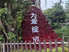 -深圳野生动物园