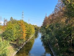 -上海长兴岛郊野公园