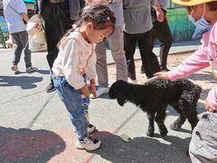 -新疆天山野生动物园
