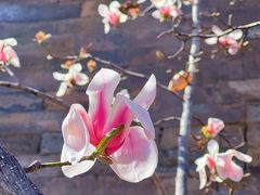 -东华门大街小区