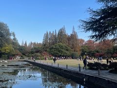 -中山公园