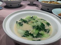 浓汤虾干奶白菜-子福慧(虹桥店)