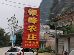 -银峰农庄·特色烧鸡·鲜无花果浸鸡