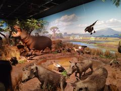 -陕西自然博物馆