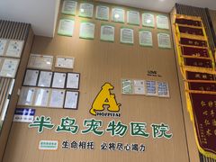 -半岛宠物医院24小时·内窥镜·牙科·碎石中心(府城大道店)