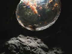 -蓬莱欧乐堡海洋极地世界