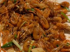-碧丽宫大酒店(召稼楼店)