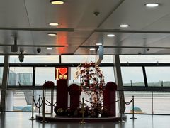 -合肥新桥国际机场-航站楼