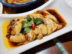 红油口水鸡-七菜馆·东北菜·蒸饺(文体路店)