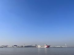 -上海滨江森林公园