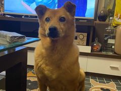 -爱侣宠医·鹦鹉专科·小型哺乳类·异宠专科(灵石路店)