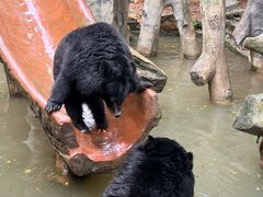 -长鹿旅游休博园