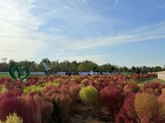 -天津东丽湖风景区