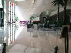 -常州环球恐龙城维景国际大酒店