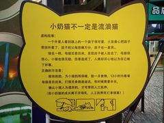 -猫咪博物馆(顶澳仔猫街店)