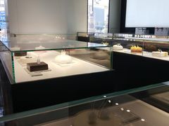 -BLACKSWAN黑天鹅(环球店)