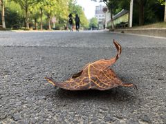 -河海大学(常州校区)