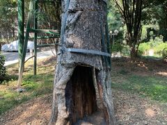 -湖北美术学院(昙华林校区)