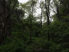 -龙洞风景区-藏龙涧