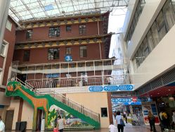 -广州市妇女儿童医疗中心(儿童院区)
