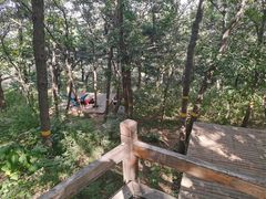 -北京西山国家森林公园