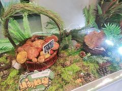 -首开·龙湖成都西宸天街