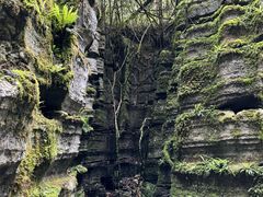 -梭布垭石林景区