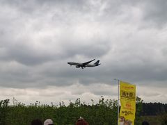 -空港花田景区