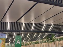 -西沃古尔·拉姆古兰爵士国际机场