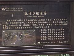 -武陵山森林公园