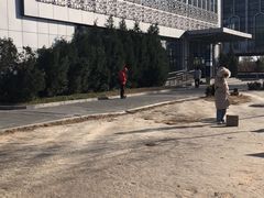 -园博园(地铁站)