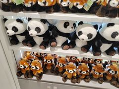 -宁波野生动物园
