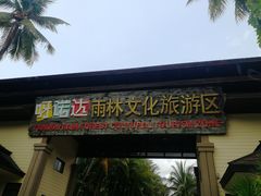 -呀诺达热带雨林