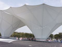 -东平国家森林公园