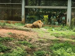 -昆明动物园
