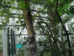 -南山植物园