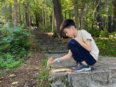 -五营红松林海景区