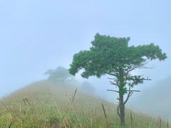 -萍乡武功山风景名胜区