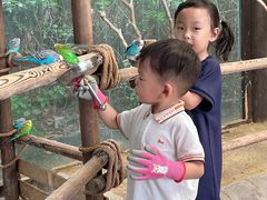 -哈尔滨波塞冬海底世界