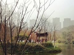 -重庆彩云湖湿地公园