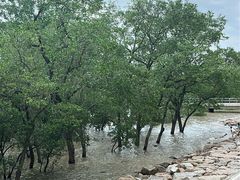 -宝安西湾红树林湿地公园